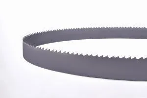 Ленточная пила по металлу биметаллическая М42 34x1,1 шаг 4/6, Schwarzmaier , кольцо